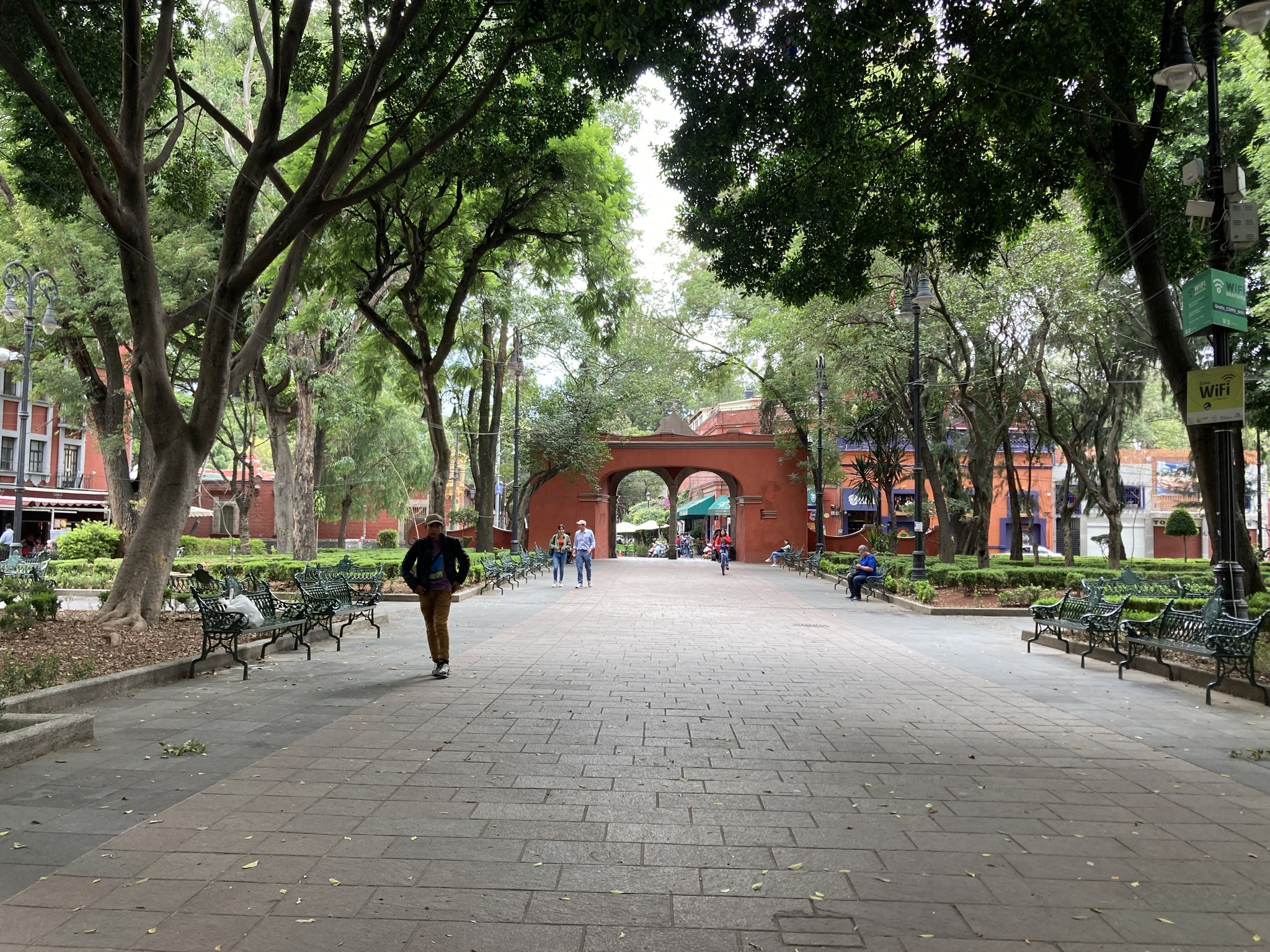 Food Tour en Coyoacán: sabores tradicionales y historia del sur de la CDMX